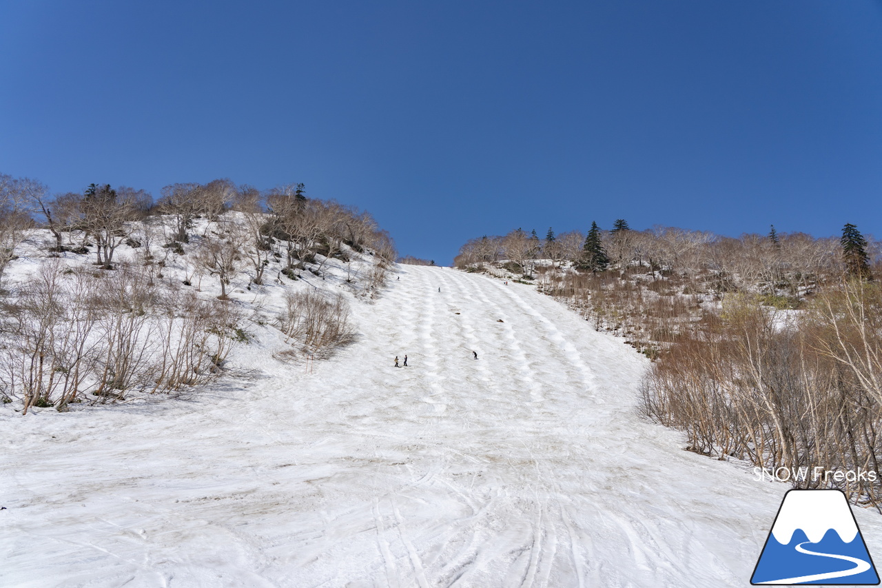 札幌国際スキー場｜シーズン終了まで、いよいよカウントダウン。最終営業日は、5月6日（月祝）です！